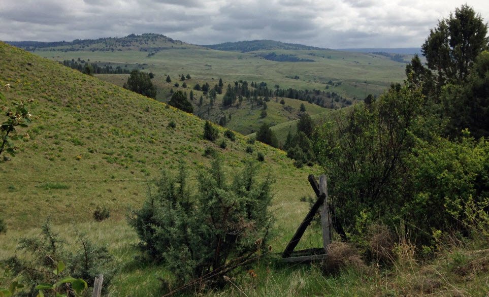Battle Mountain Forest State Scenic Corridor, Oregon, USA